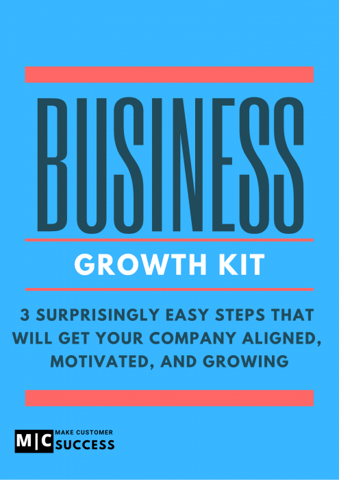 3 Step Business Growth Kit